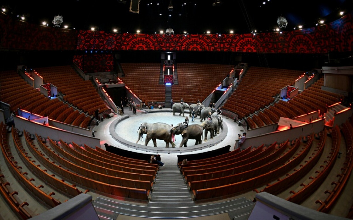 Russian MPs rejected a move to ban animal circuses, noting their economic interest