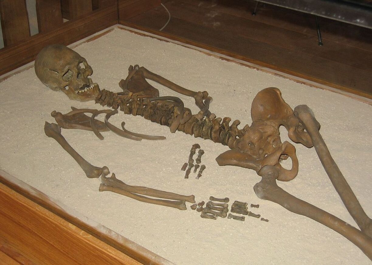 The skeleton of Loschbour Man.