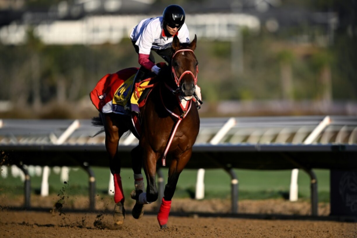 Forever Young foiled Rainbow Warrior