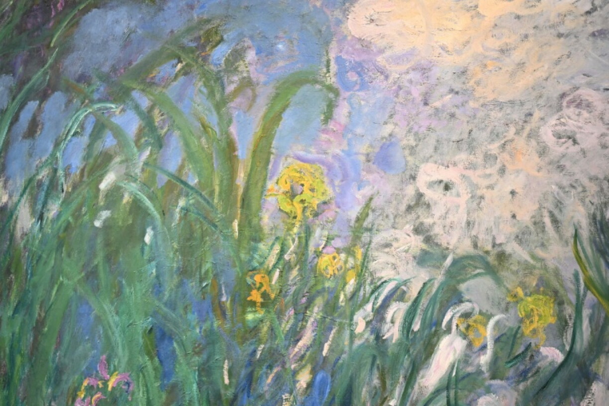 "Iris" had been estimated at between 22 and 30 million euros