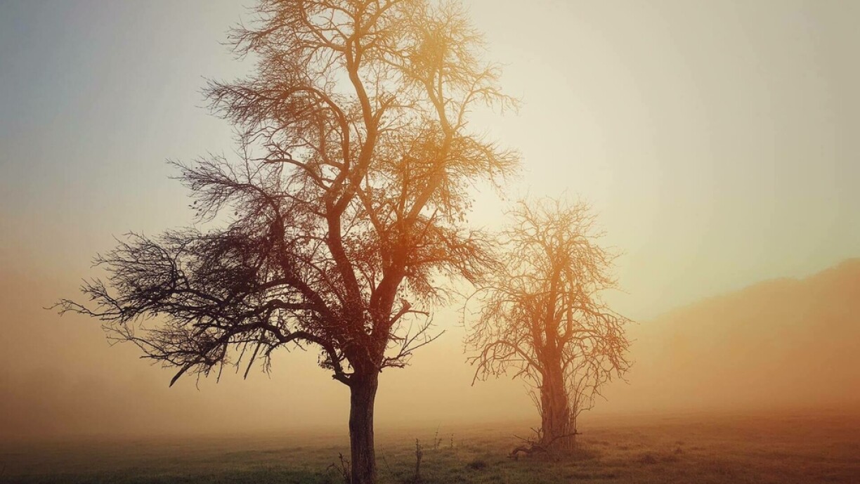 A beautiful morning shot from early November, taken by RTL Today contributor Diana Calvario.