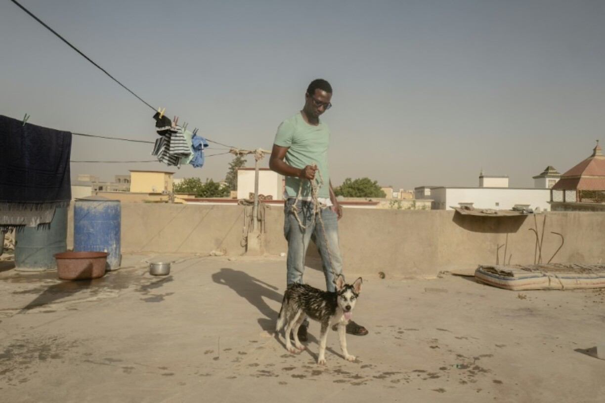Amadou Daff et son chien husky sibérien Iris, le 8 octobre 202 à Nouakchott, en Mauritanie