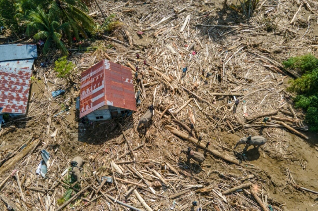 Vue aérienne d'éléphants de Sumatra aidant à dégager des débris d'arbres après des crues soudaines à Meureudu, dans la province d'Aceh, le 8 décembre 2025 en Indonésie