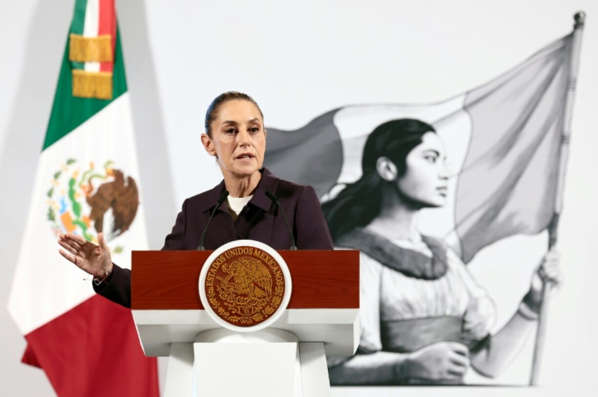 Mexico's President Claudia Sheinbaum says the country will not take any action before seeing details of US President Donald Trump's promised trade tariffs
