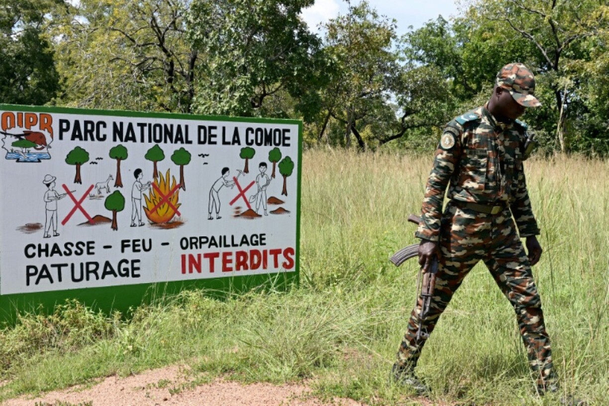 After rangers fled when Ivory Coast's first civil war broke out in 2002, prospectors rushed into the Comoe National Park