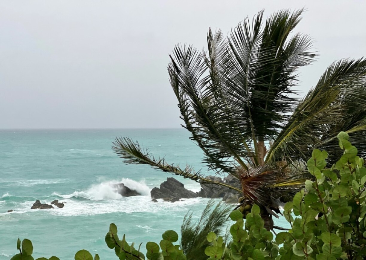 Le vent agite un palmier à Church Bay aux Bermudes, à l'approche de l'ouragan Fiona le 22 septembre 2022