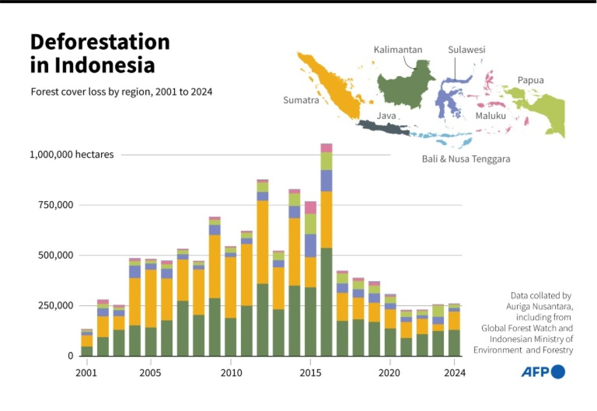 Deforestation in Indonesia