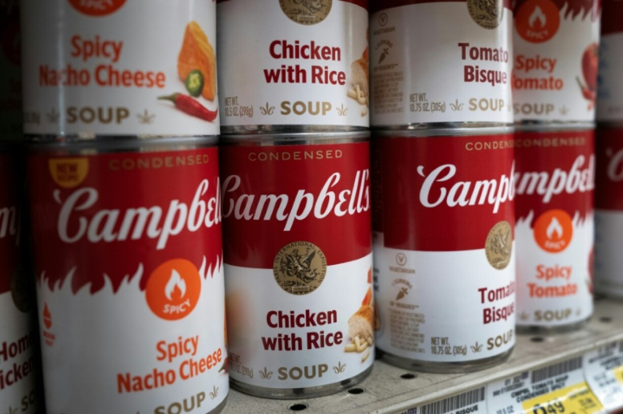 The Campbell's brand enjoys iconic status at home and abroad, and is best known for its line of canned soups which Andy Warhol made the subject of a series of paintings that became synonymous with the artist