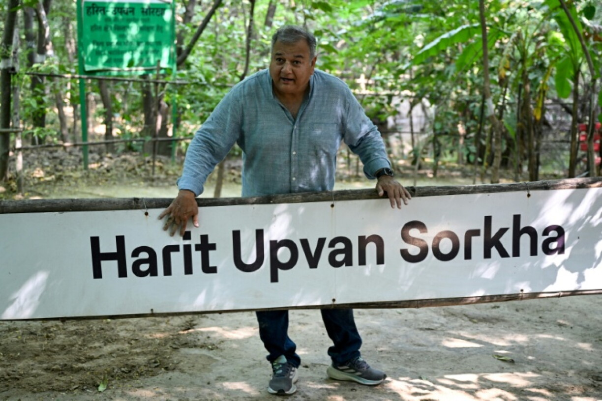 Swami Prem Parivartan, better known as "Peepal Baba" or "tree father", and his teams became one of India's largest grassroots planting movements
