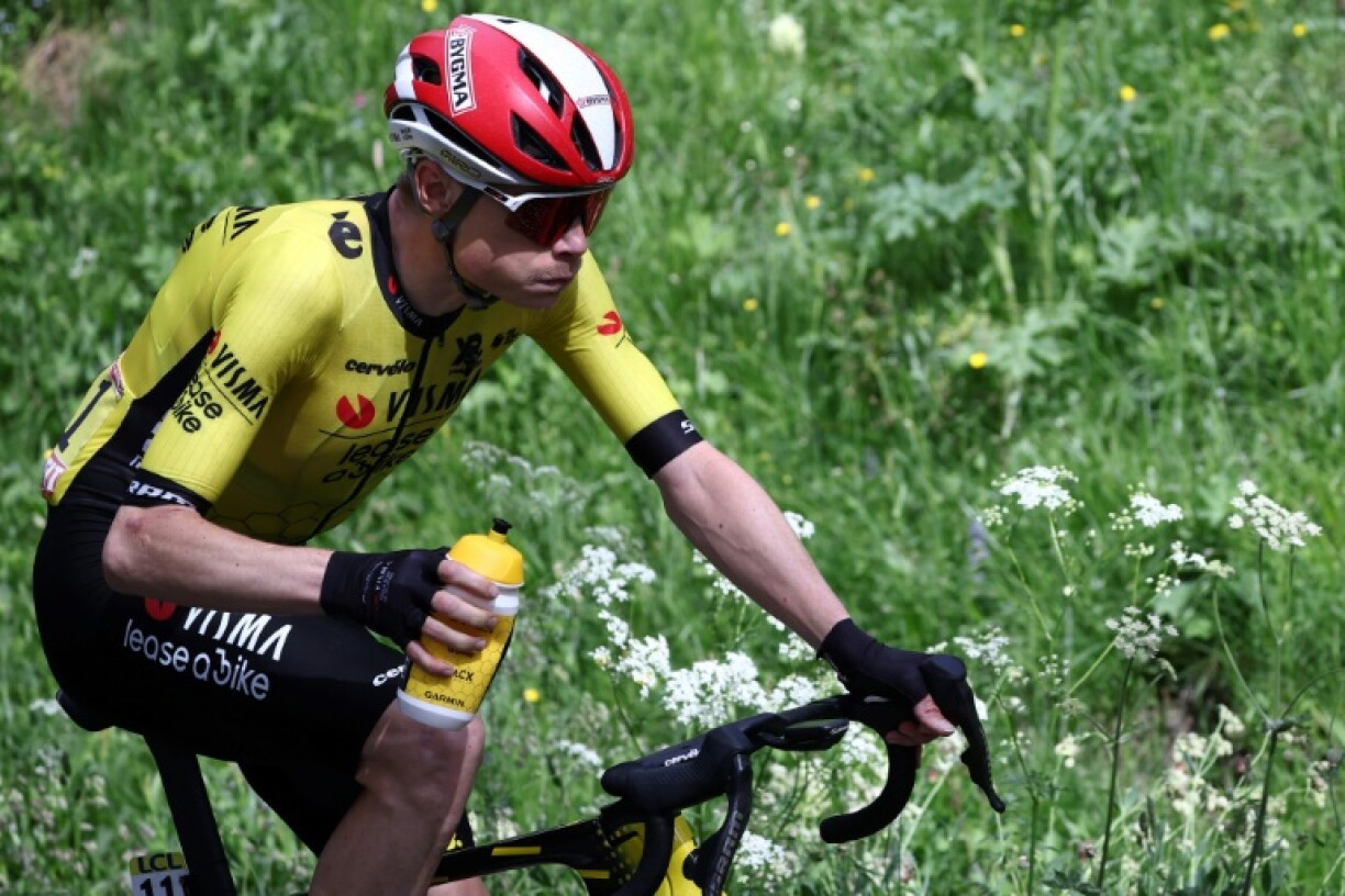 Jonas Vingegaard's hopes of a third straight title in 2024 were shattered by a harrowing crash earlier in the year