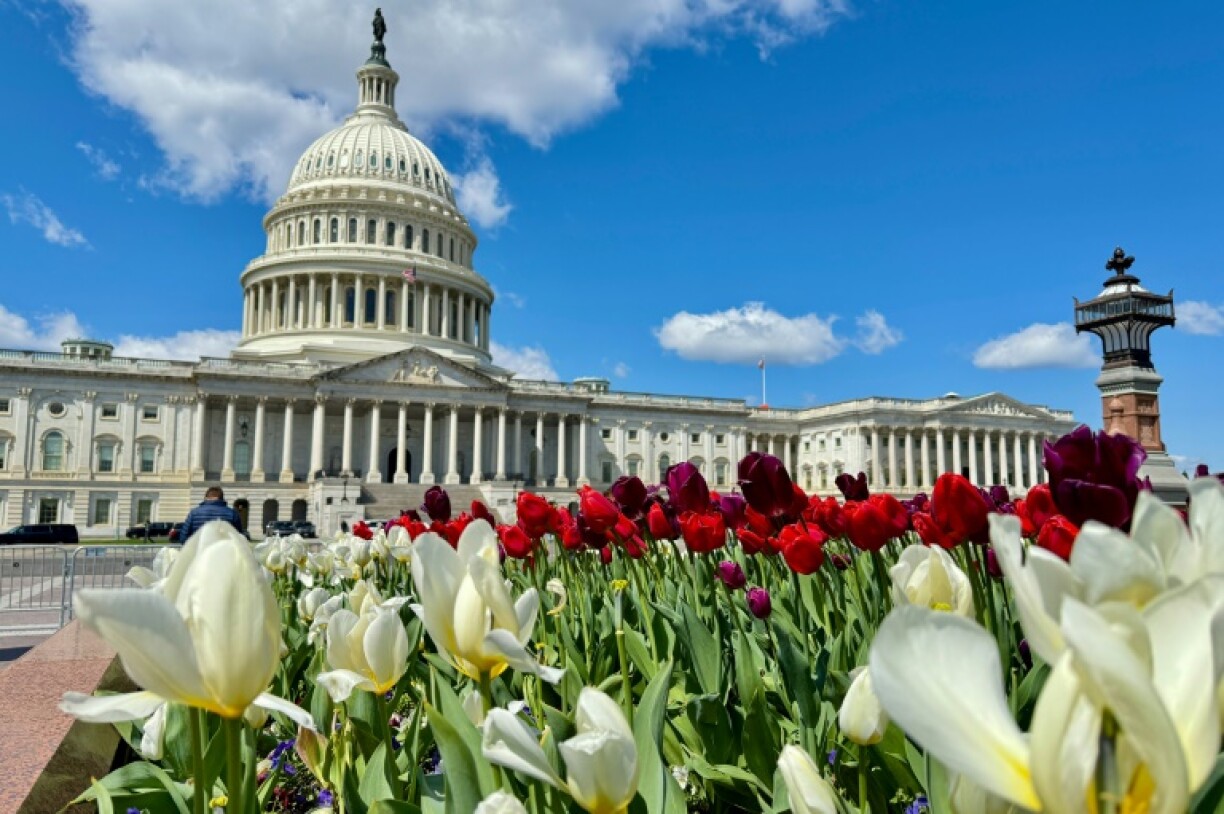 Judges have argued Trump is overstepping the bounds of the executive branch