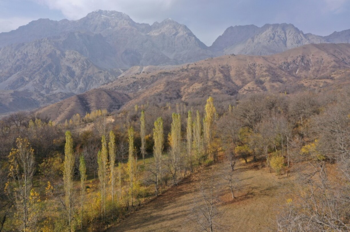 Walnuts are both an economic staple and a symbol of Kyrgyzstan's Jalal-Abad region