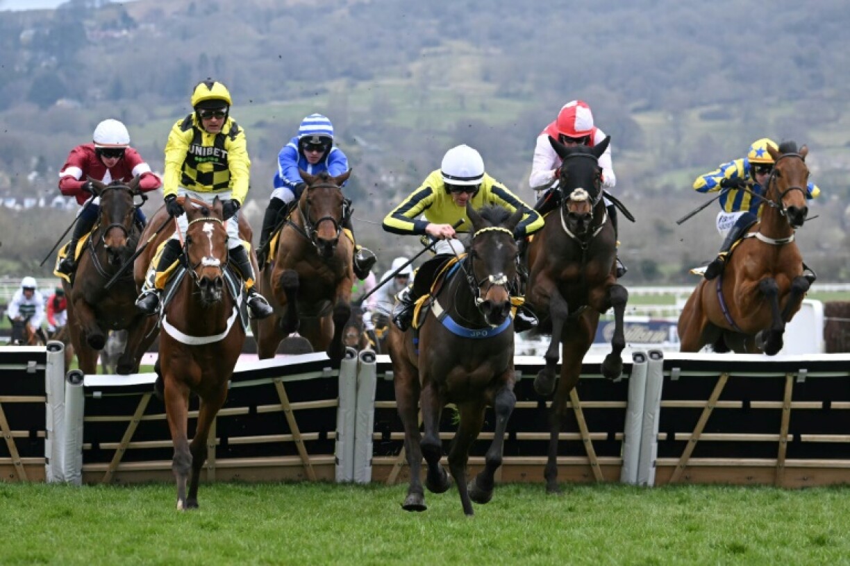 Poniros (3L) defied odds of 100/1 to win the Triumph Hurdle