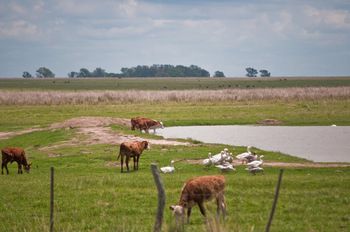 A photograph of an estancia in Argentina nowadays.