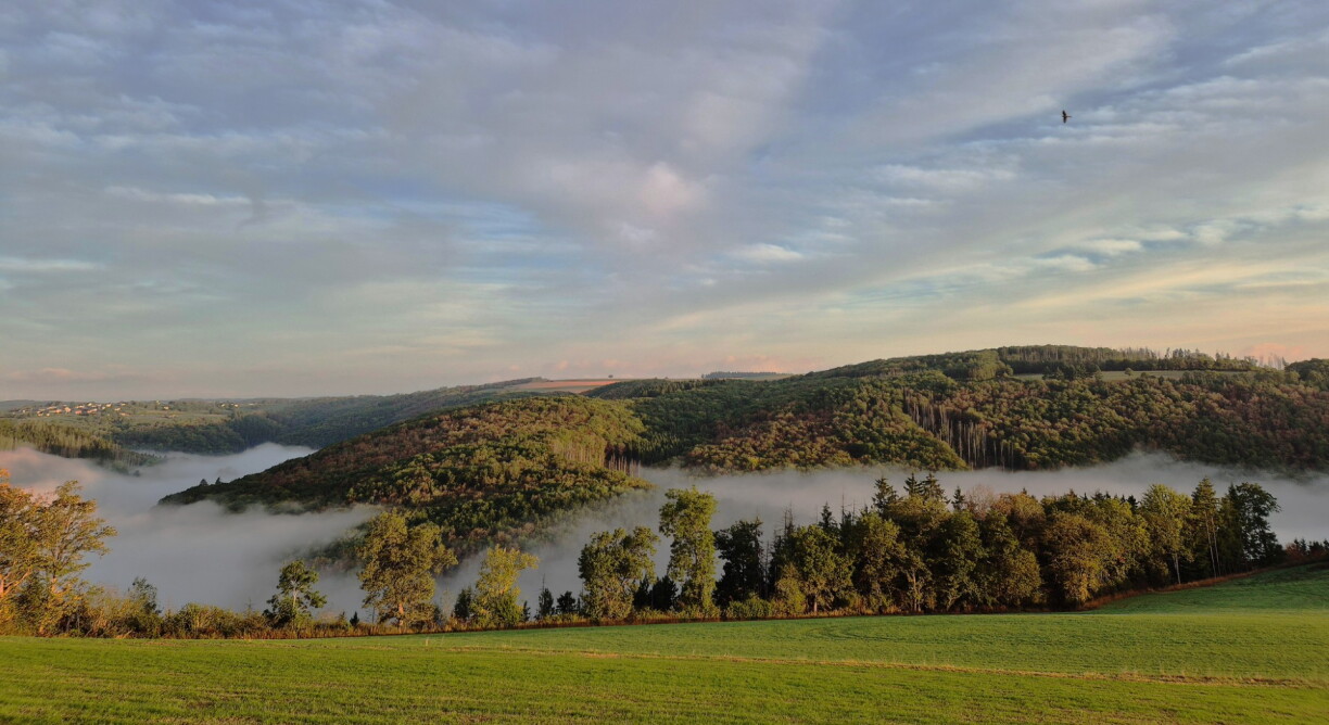 Mist near Kautenbach, 5 September 2026.
