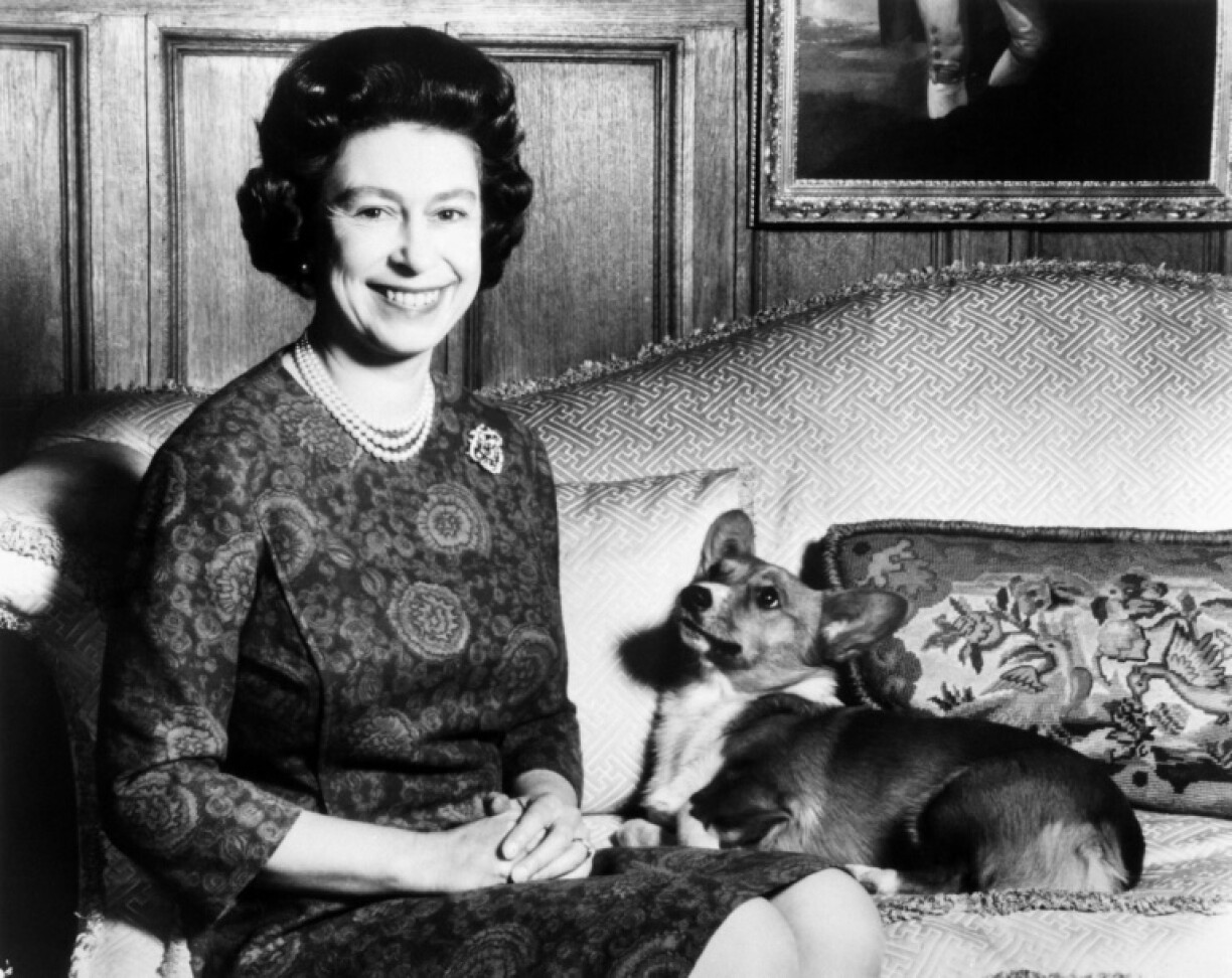 Elizabeth II posant en 1970 aux côtés d'un de ses corgis