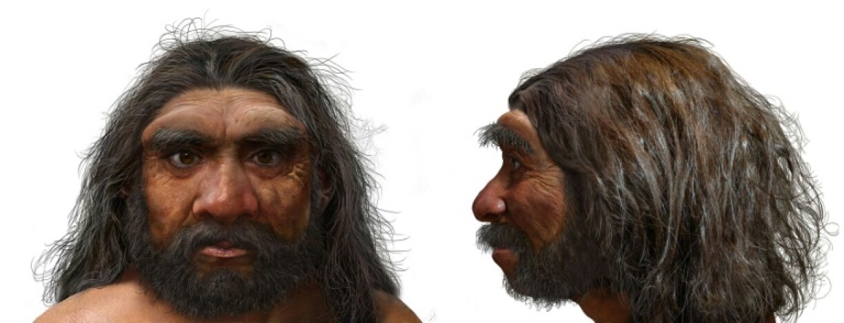 Researchers believe the reconstructed million-year-old skull belonged to the Homo longi species discovered in 2021