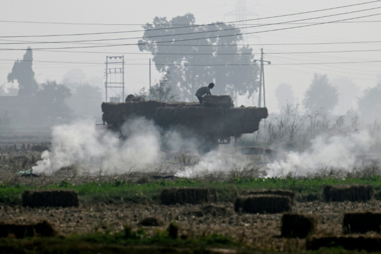 A worker loads a tractor with paddy straw bales as smoke rises from smoldering leftover stubble