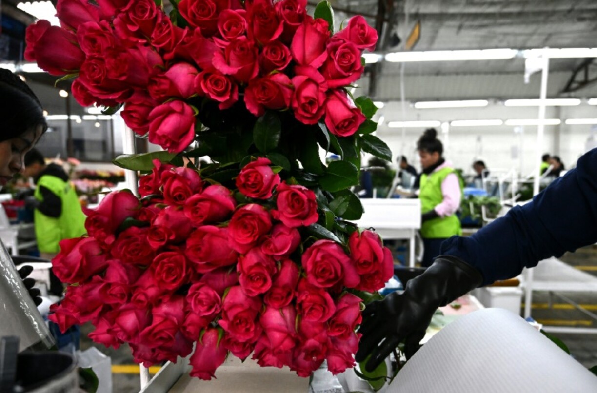 People are advised to be 'politely paranoid' when making potentially romantic connections with strangers online to avoid being scammed