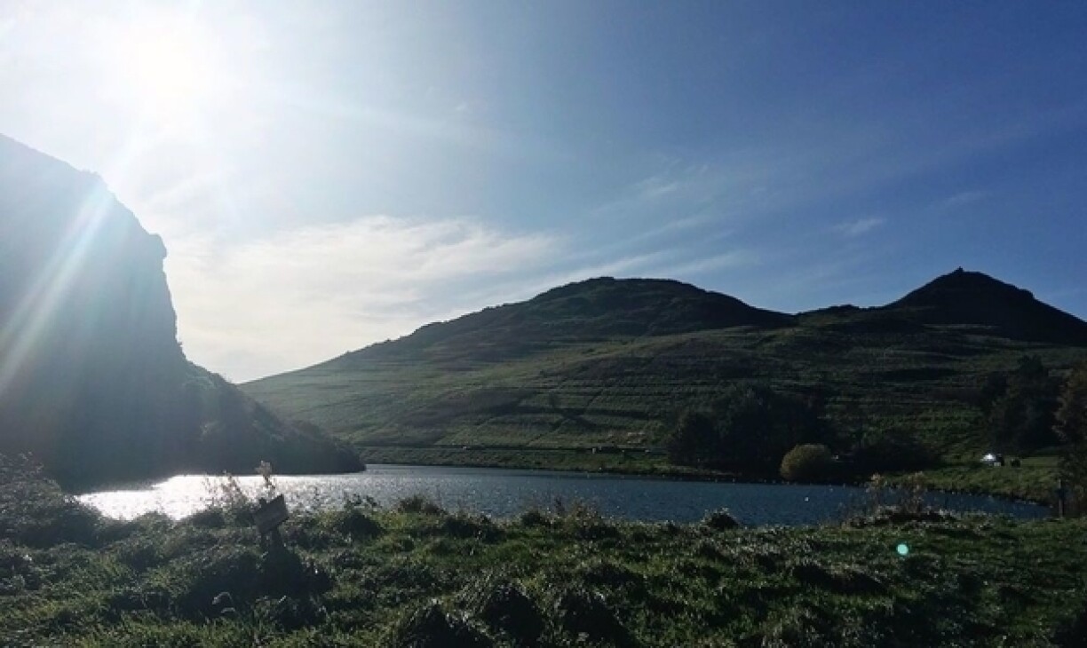 This is the view you can get in the middle of Edinburgh.