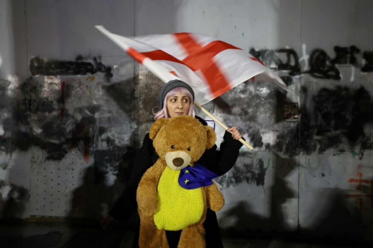 Pro-EU demonstrators have staged daily protests across Georgia for more than two weeks