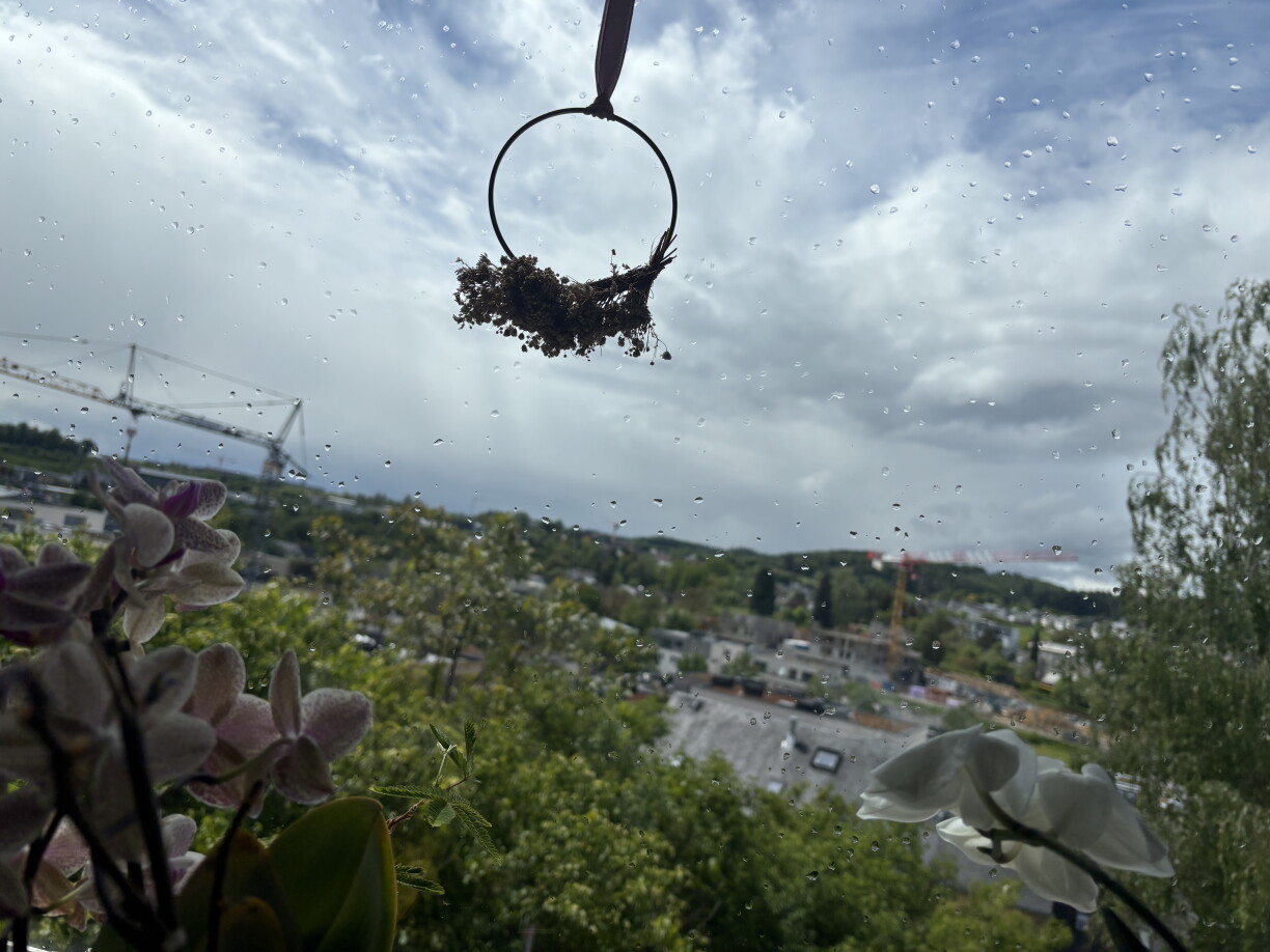 Wolleken, Reen an och alt emol Sonn: Net wierklech Feierdagswieder op Christi Himmelfaart 2026. Op der Foto den Himmel iwwer Jonglënster an der Mëttesstonn.