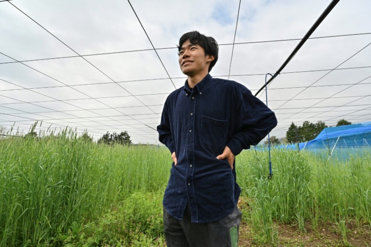 Takuya Haraguchi is hoping to revitalise agriculture in the Fukushima area by growing kiwi fruit