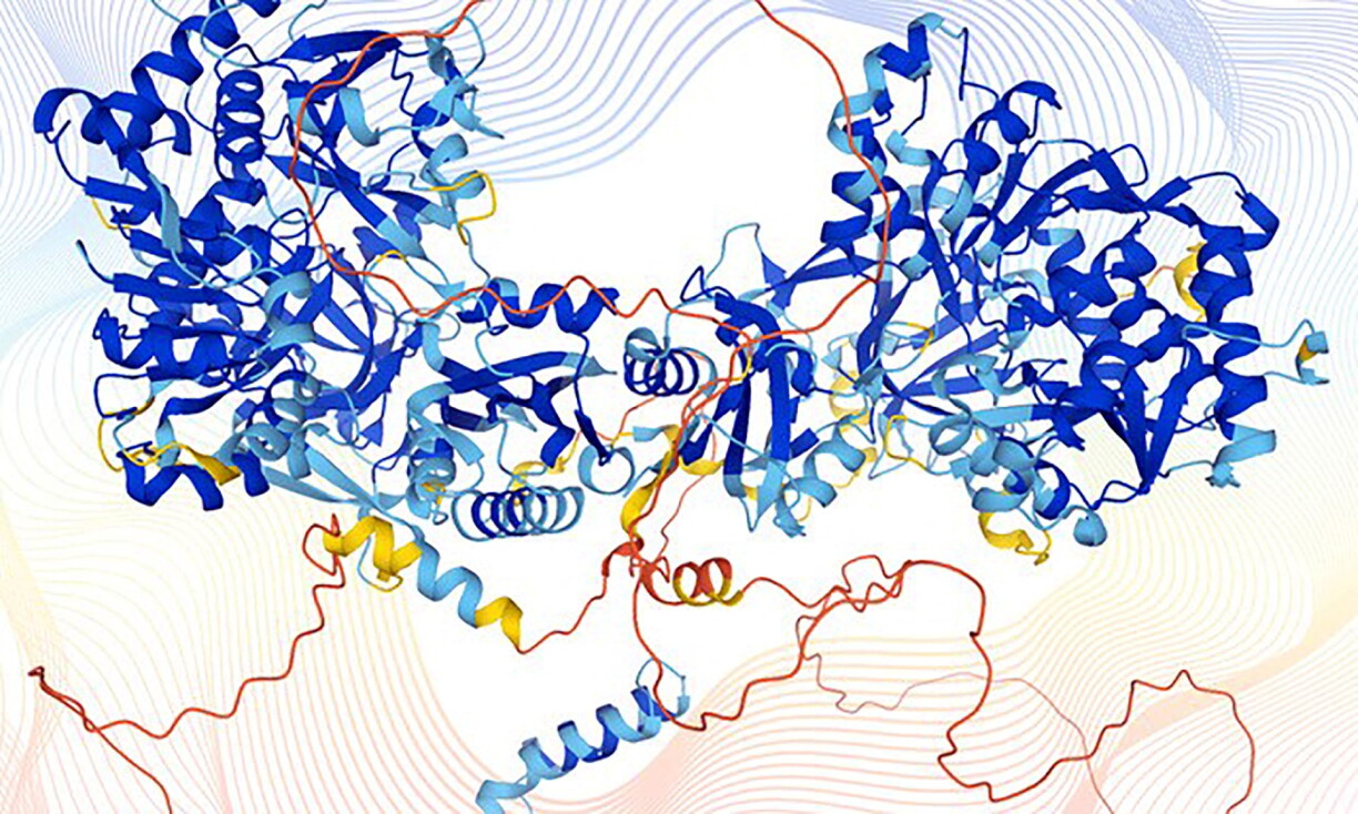 D'Struktur vun engem Protein am mënschleche Kierper, modelléiert mat AlphaFold.