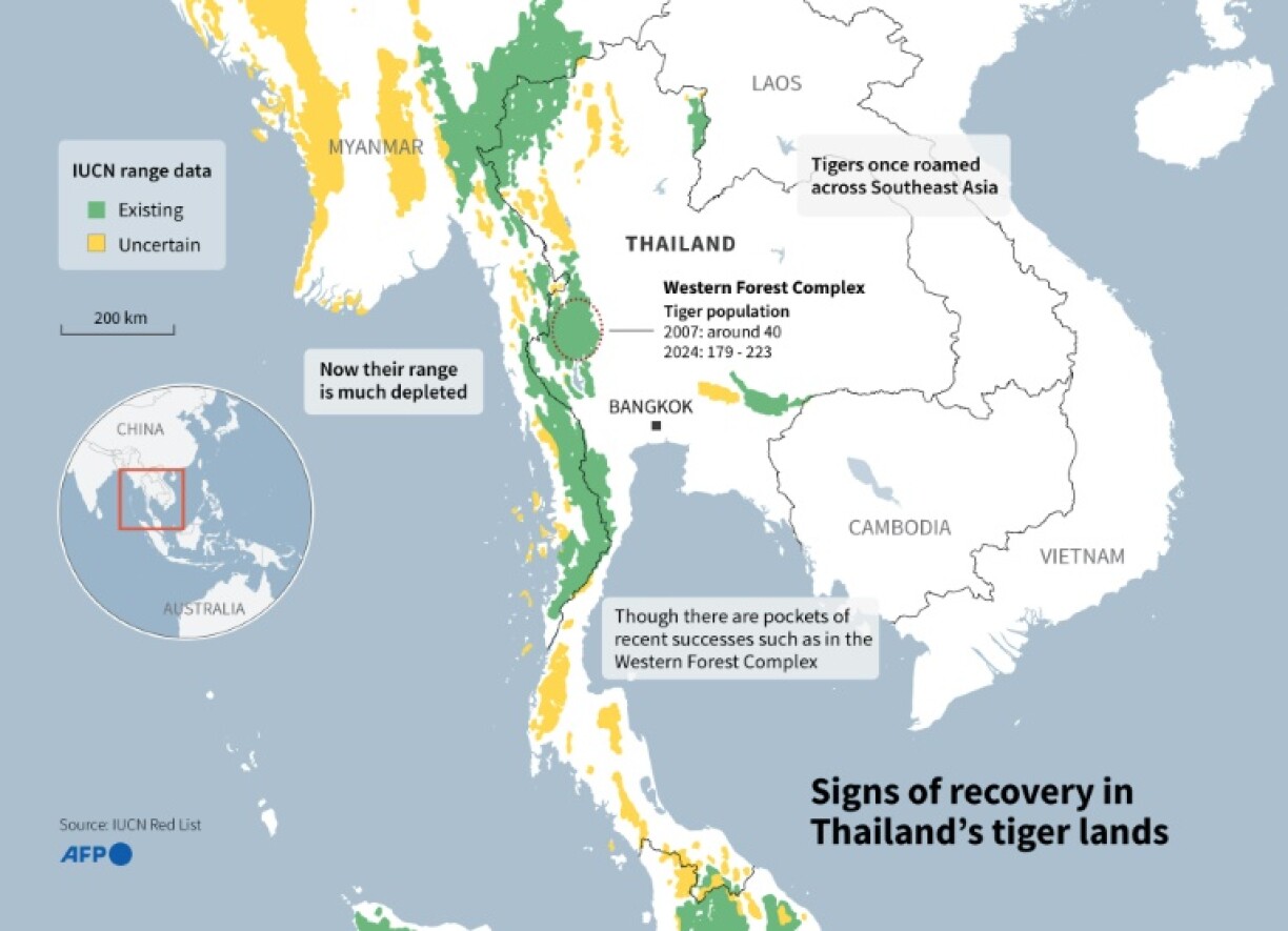 Thailand's tiger lands