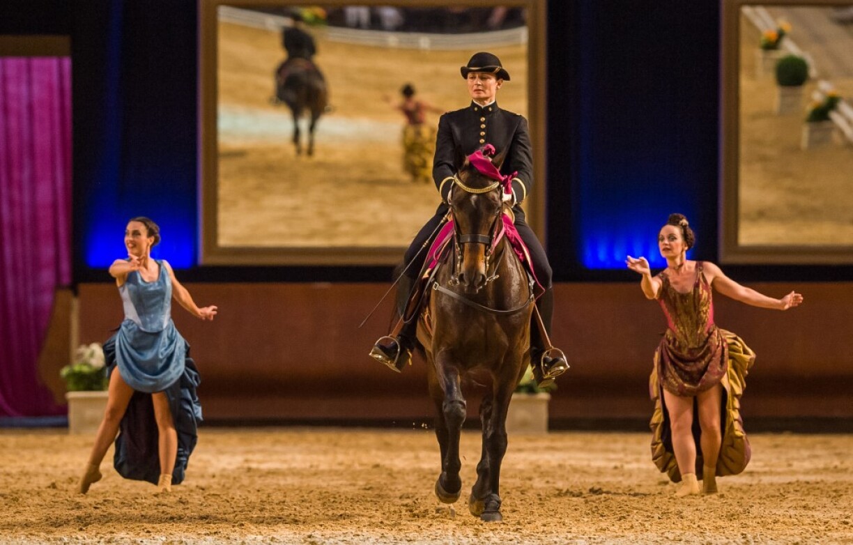 L'équitation, au sens large, se féminise (ici le célèbre Cadre noir de Saumur), même si la compétition de haut niveau reste majoritairement pratiquée par des hommes.
