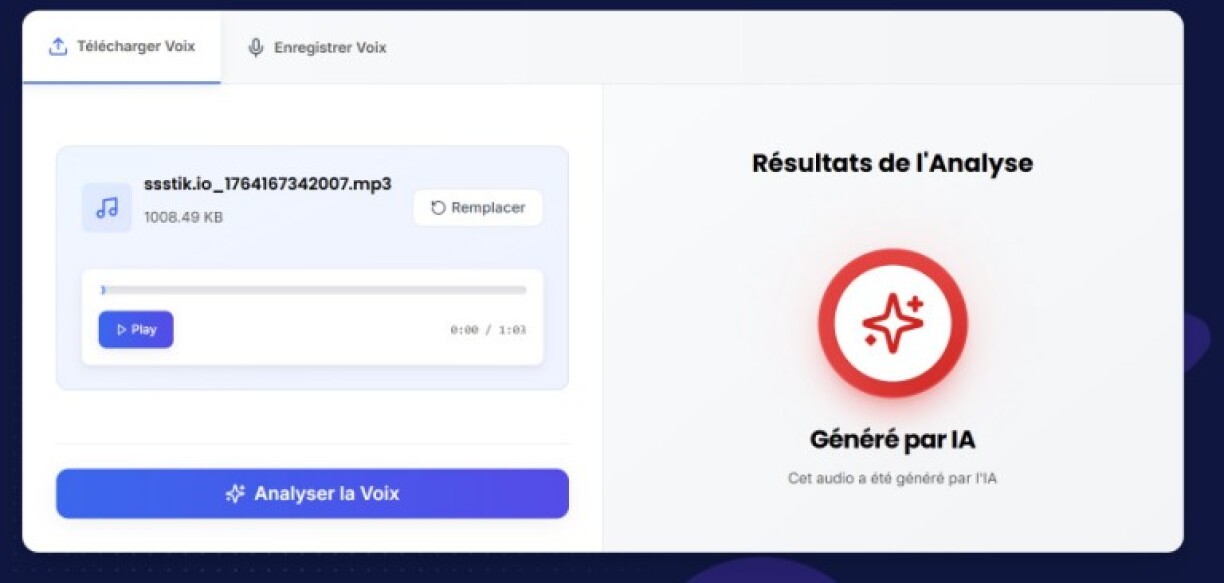 Capture d'écran réalisée sur le site DetectingAI le 26/11/2025.