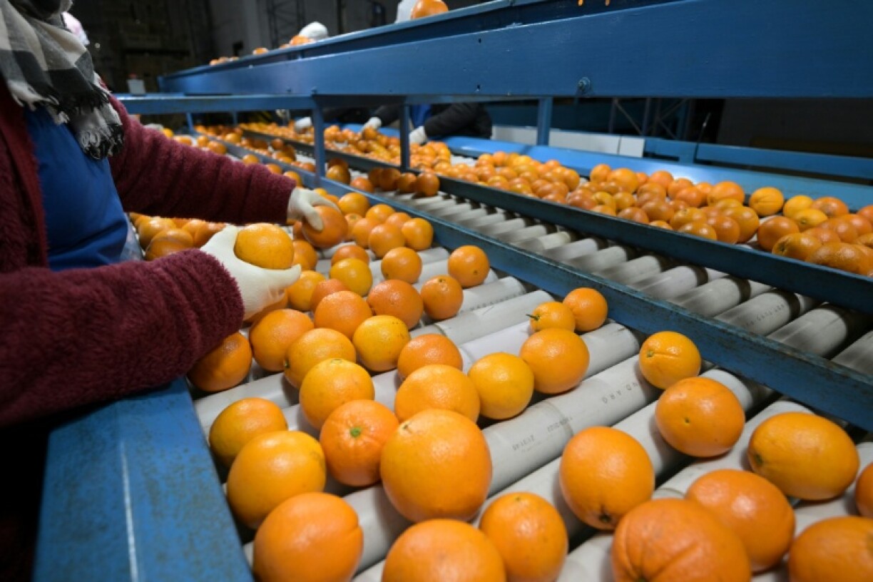 Farmers in Argentina are particularly frustrated by the multiple layers of national, provincial and municipal taxes, including stiff export taxes on meat and cereals