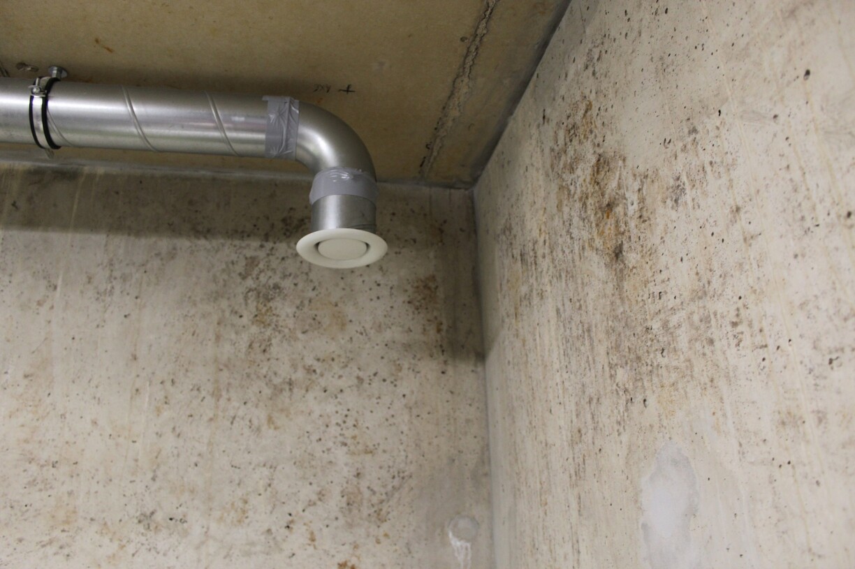 In the basement, mould has invaded the cellars of many residents.