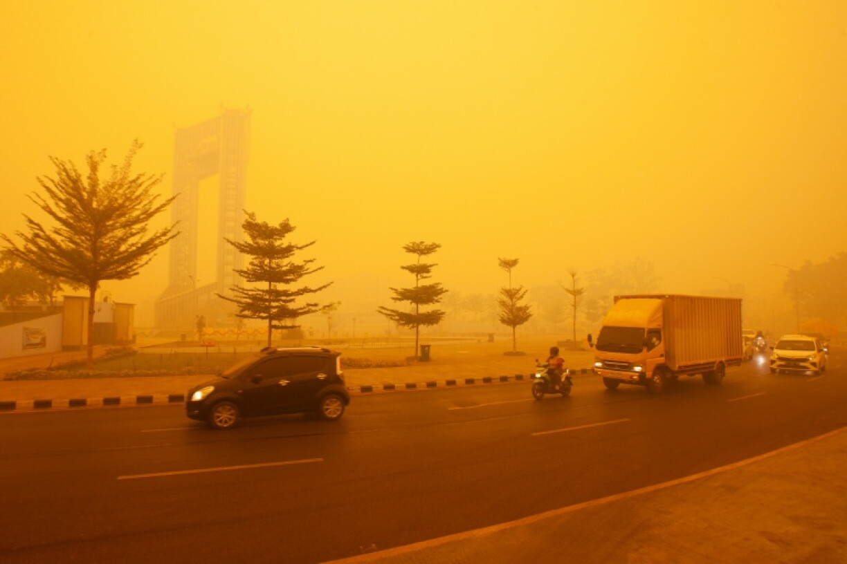 Thick smoke from Indonesia's wildfires has caused health problems and air pollution locally and across the region