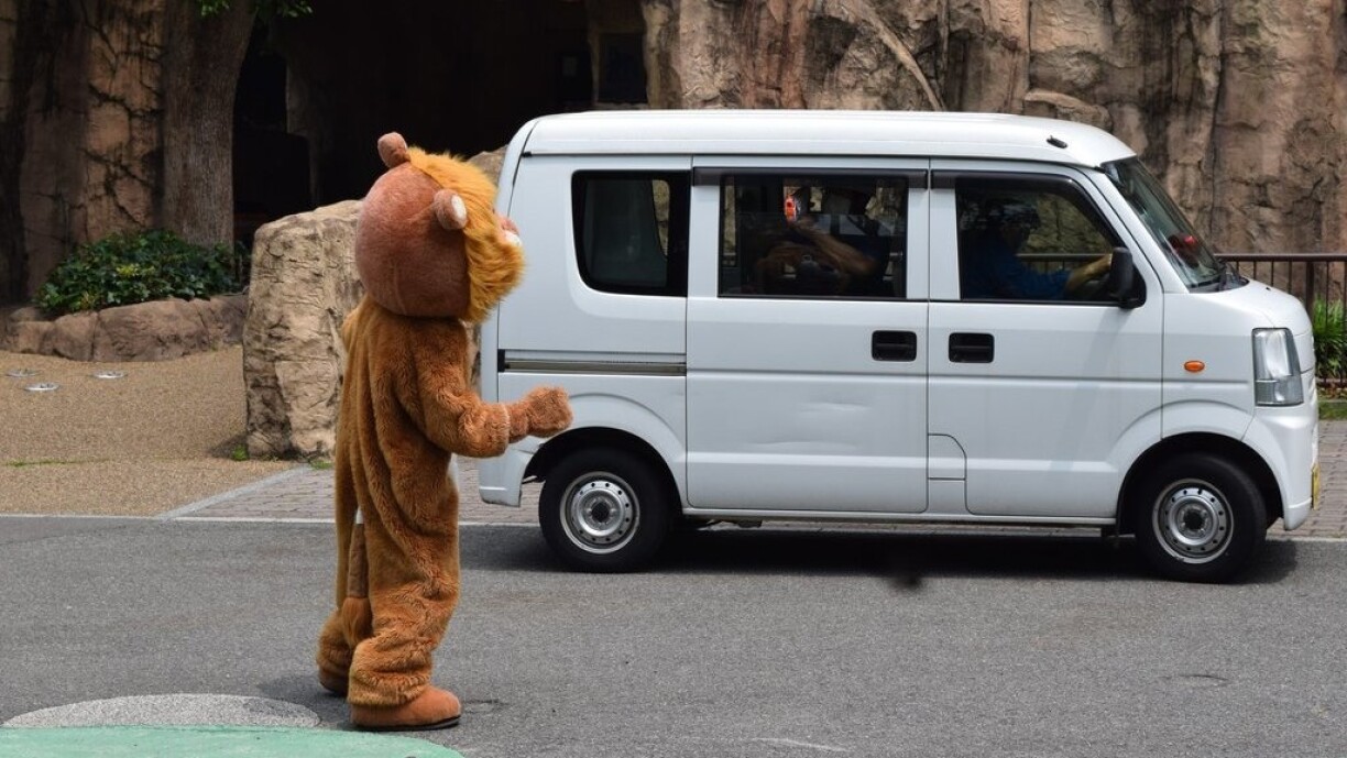 The brazen lion taunts his would-be captors.