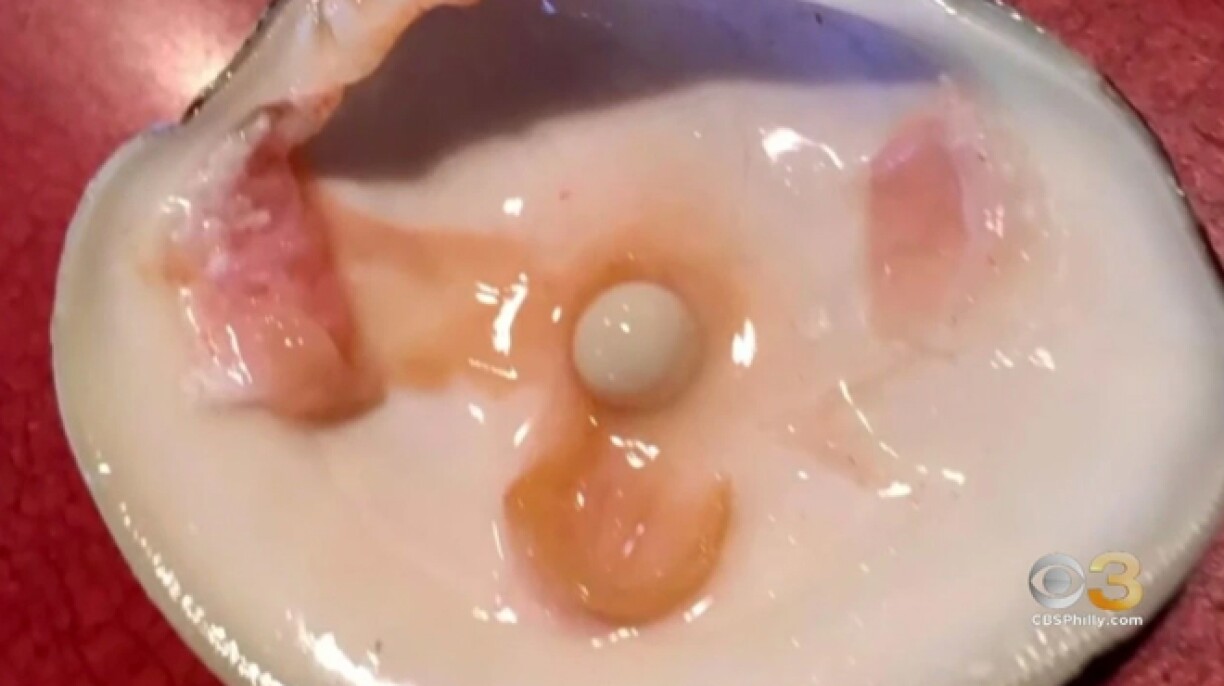 Il trouve un incroyable trésor en dégustant son plat préféré au restaurant