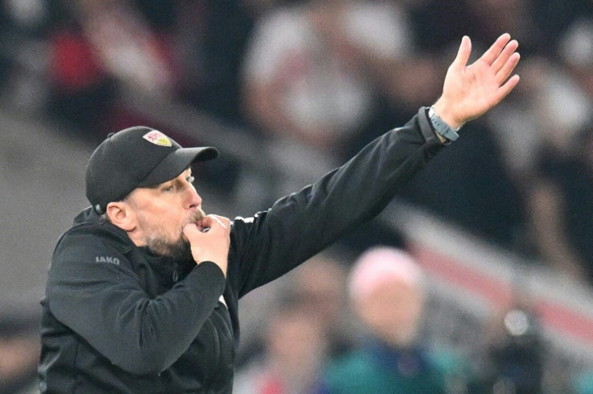 Stuttgart coach Sebastian Hoeness has taken his side to the German Cup final