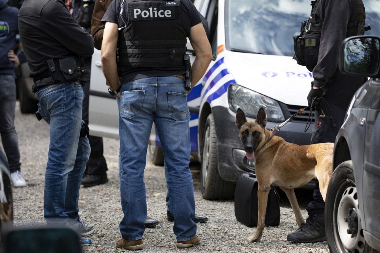 Image d'illustration