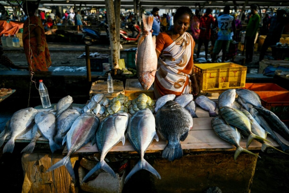 India's seafood industry is hoping for a positive breakthrough in tariff talks with Washington