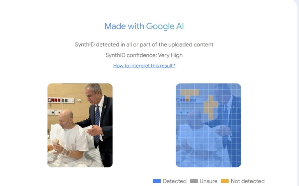 Screenshot of the SynthID analysis results taken December 18