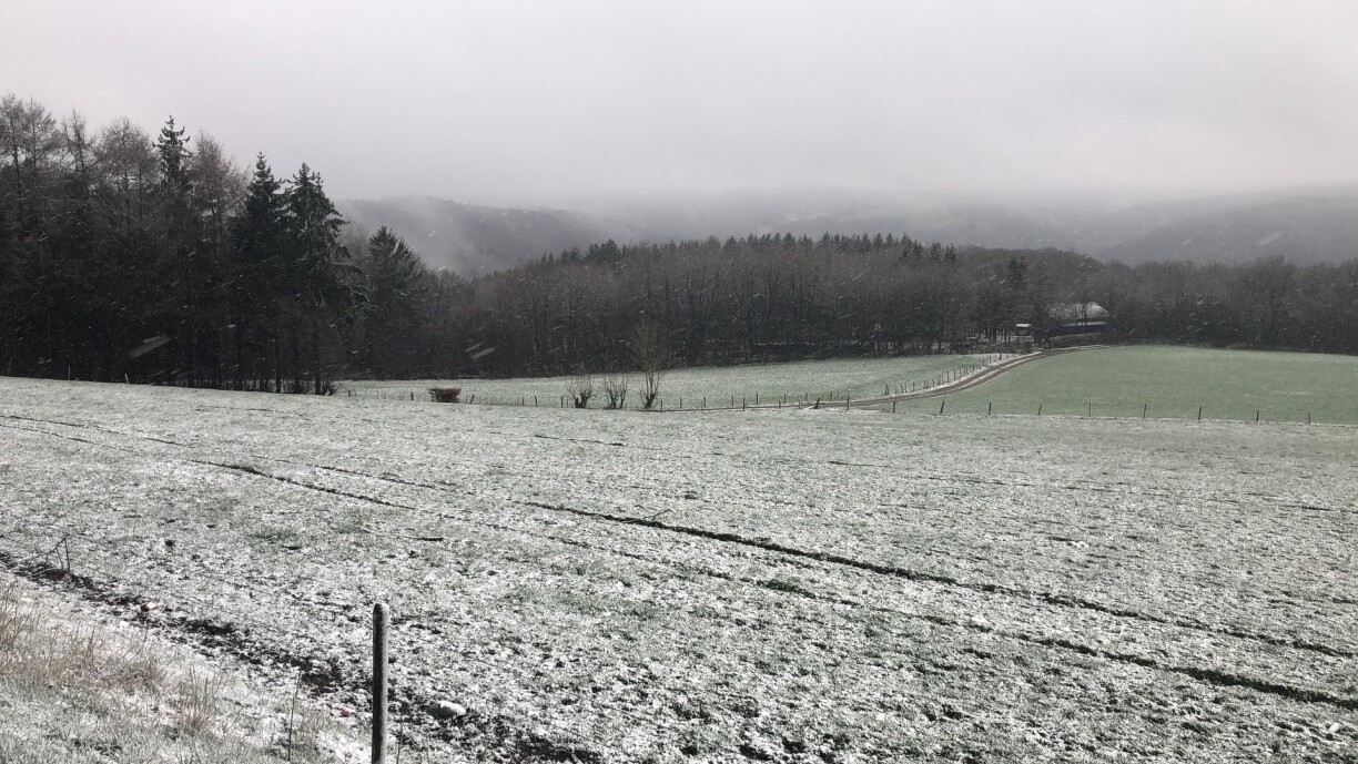 Heiderscheid in 2020