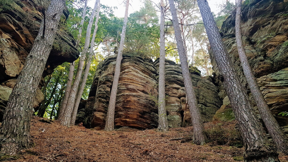 Le Mullerthal.
