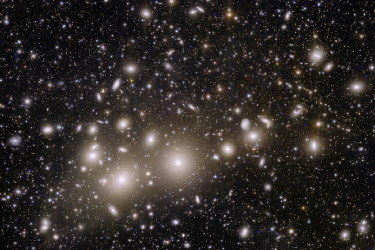 Image astronomique non datée de galaxies appartenant à l'amas de Persée diffusée le 2 novembre 2023 par l'Agence spatiale européenne (ESA) et prise lors de la mission spatiale Euclid de l'ESA