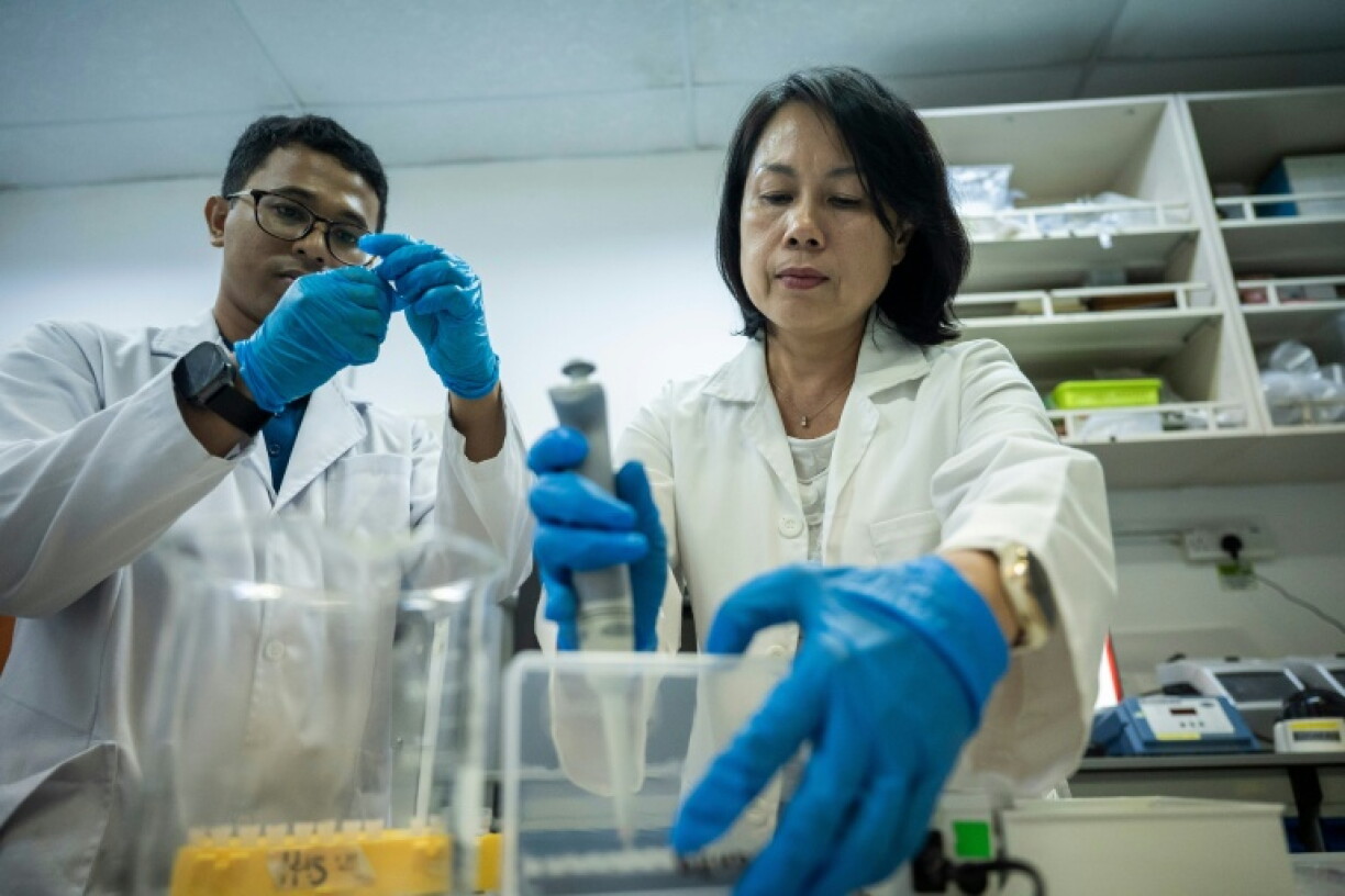 Genetic research on turtles is helping law enforcement and conservation