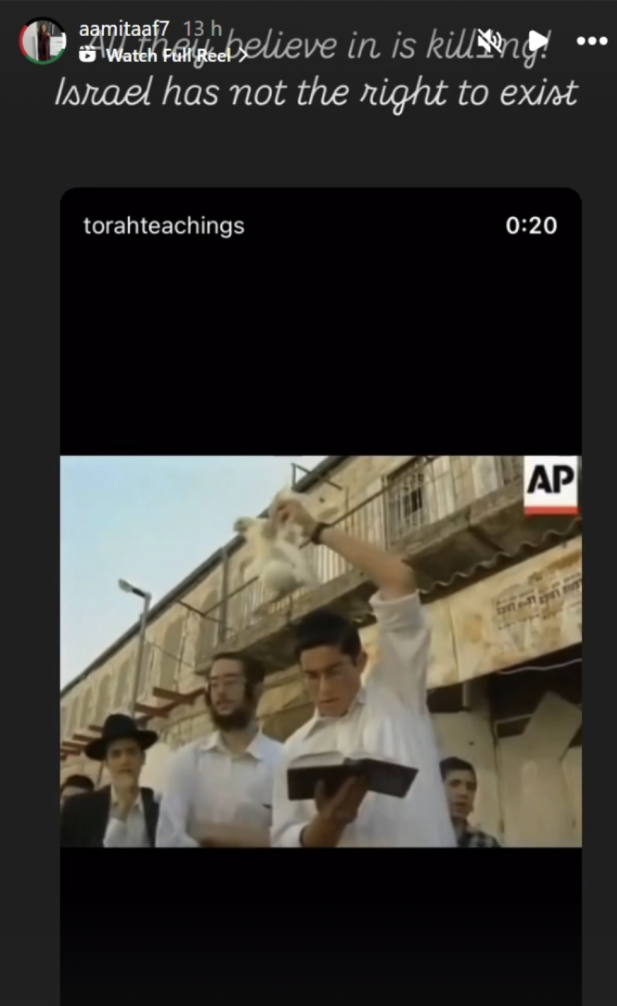 One of the screenshots on which the Ministry relied for its case.