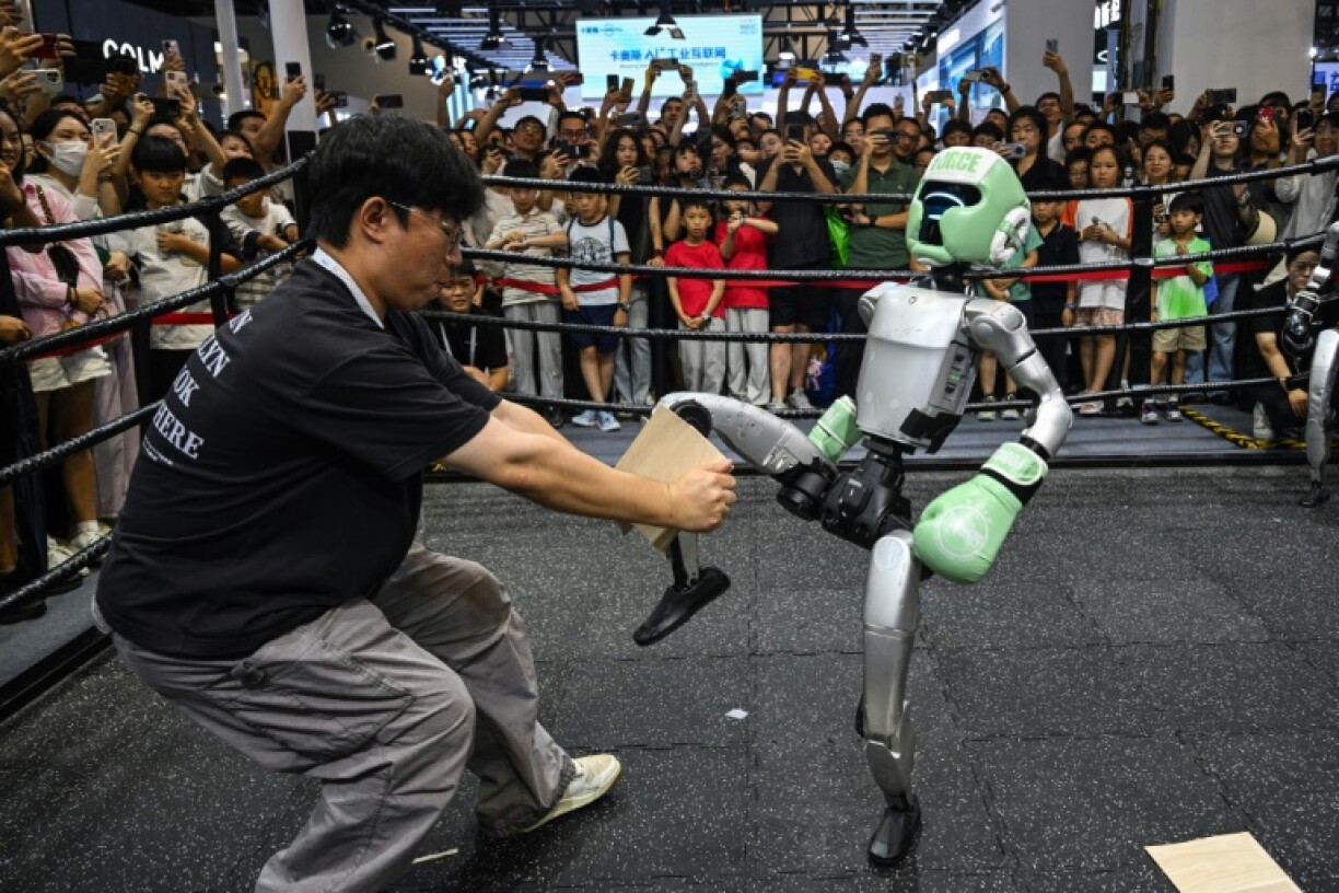 Challenges to homegrown firms include the closed nature of the Chinese internet