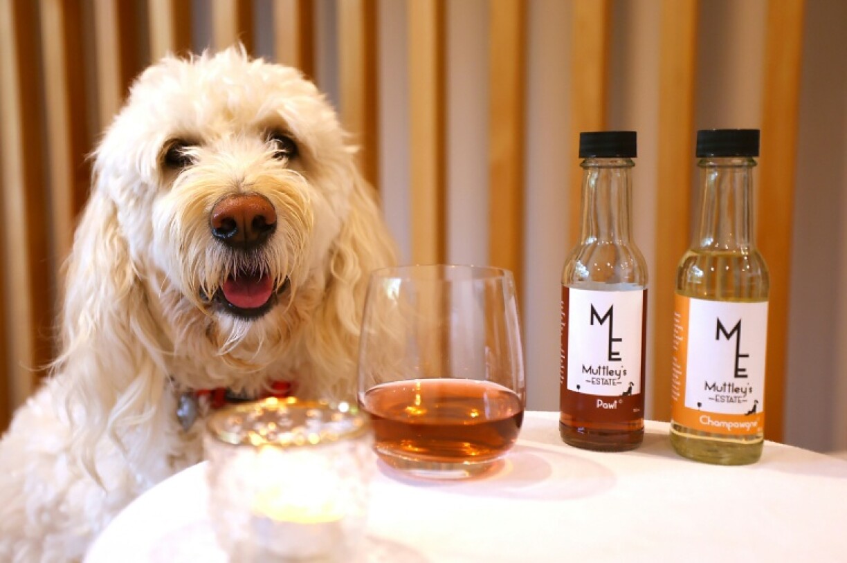 The range of tipples sold by the Wellington-based Muttley's Estate have names like Pawt, Champawgne, Purrno Noir and Sauvignon Bark