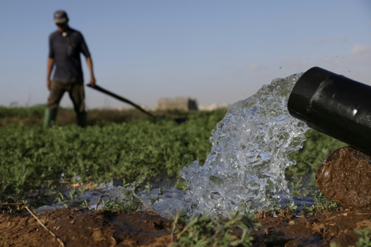 Farmers irrigate their field in the Chtouka region of southern Morocco