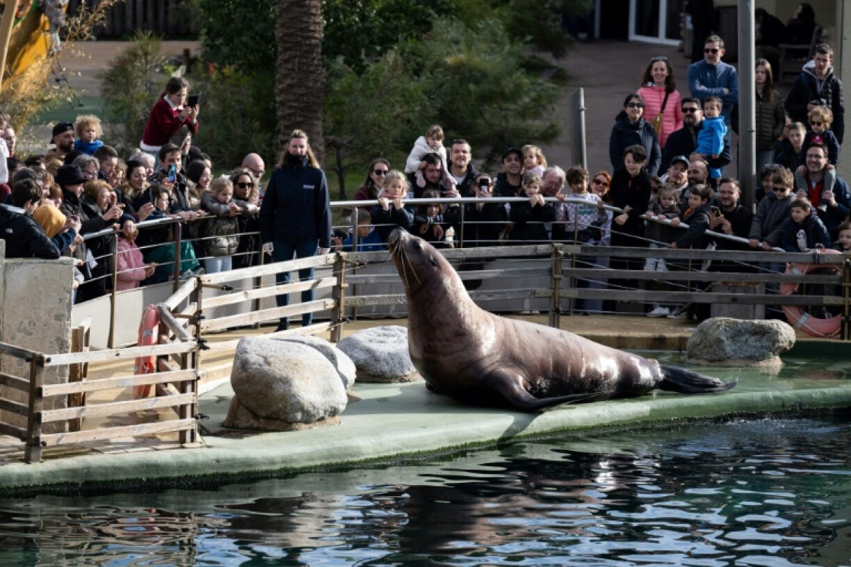 The future for the thousands of animals is uncertain