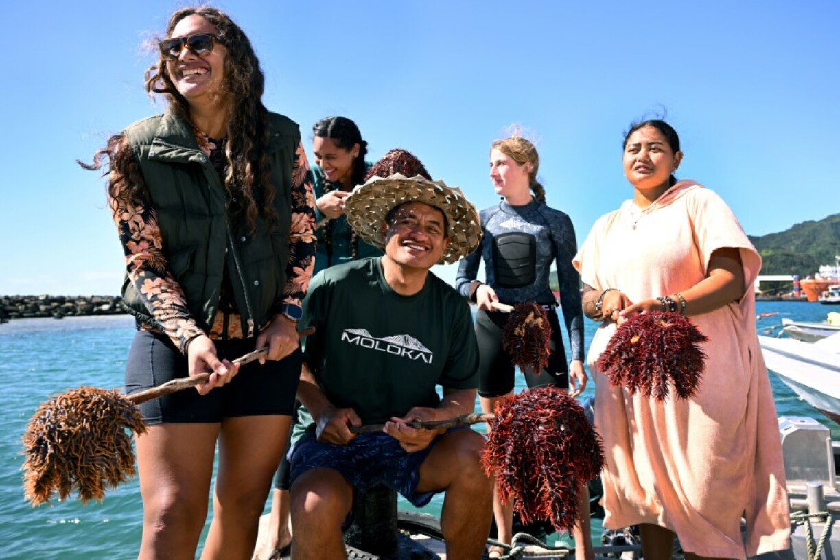 Marine biologist Teina Rongo (C) and divers from the environmental group Korero O Te Orau holding crown-of-thorns starfish collected from a reef off Rarotonga in the Cook Islands